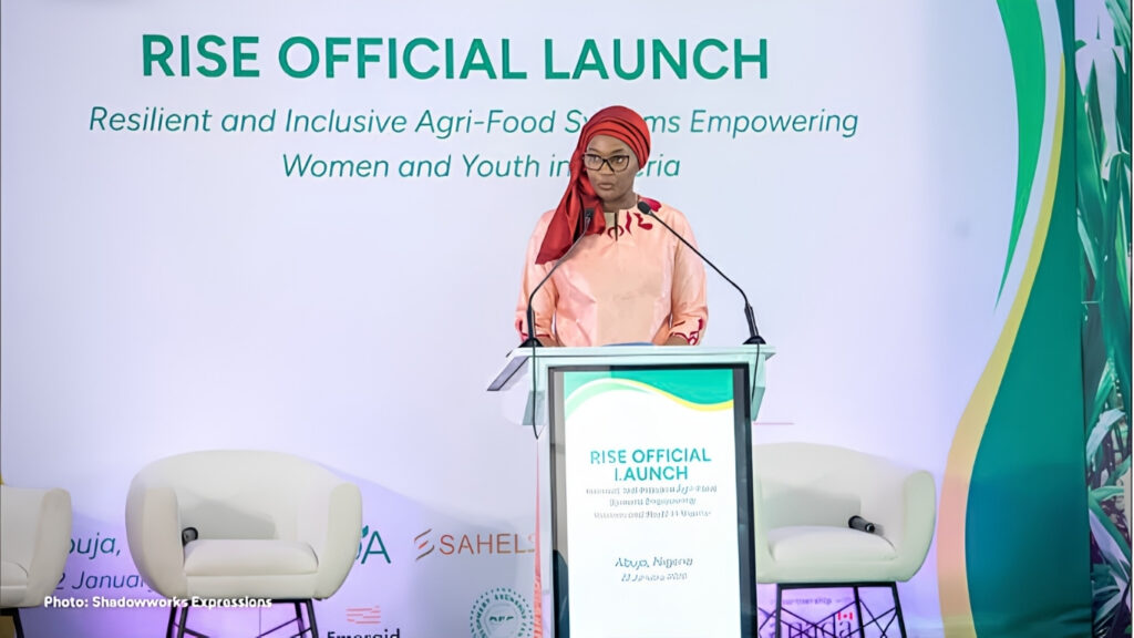 RISE Project to Create 8,000 Jobs, Support Agribusinesses in Northern Nigeria